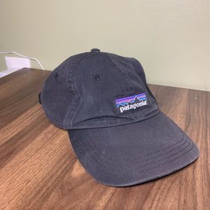 Patagonia baseball cap